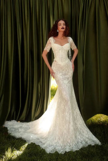 Short Sleeve Lace Mermaid Vintage Basque Waist Wedding Dress BWD310