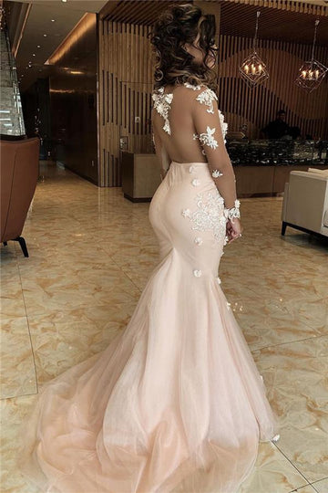 Pink Long Sleeve Appliques Mermaid Lace V-neck Evening Gowns JTE380